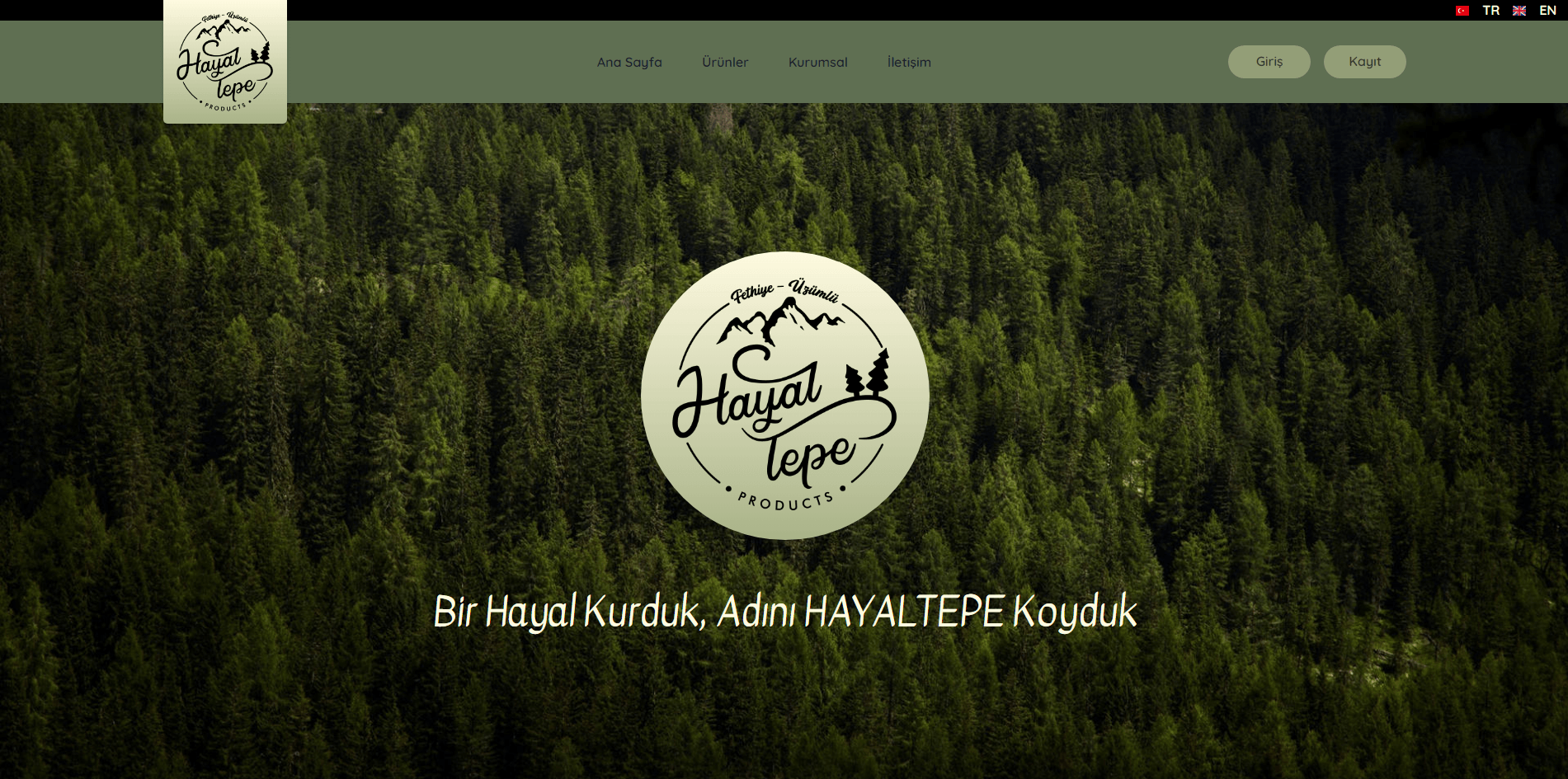 Hayaltepe Website project screenshot